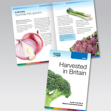 Yes Agency - AHBD Branding Design