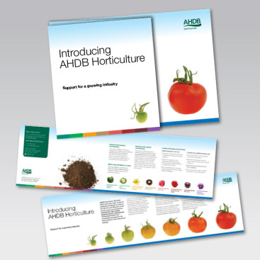 Yes Agency - AHBD branding design