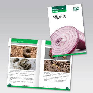 Yes Agency - AHBD Branding design